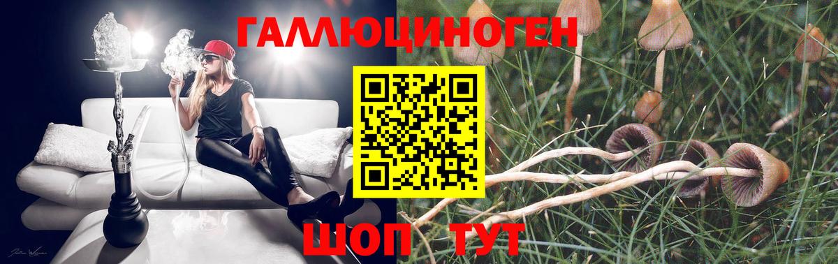 Галлюциногенные грибы Cubensis  Псилоцибиновые грибы ЛСД  Гуково  Вход с VPN 